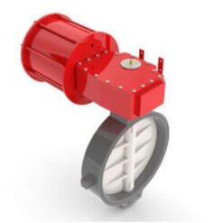 Van bướm loại đồng tâm