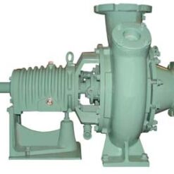 BƠM DẠNG CÁNH VÍT MODEL DSW