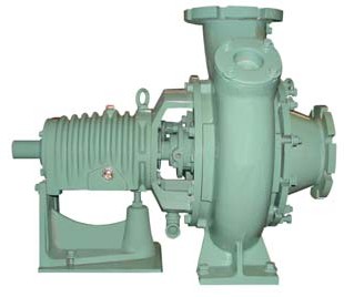 BƠM DẠNG CÁNH VÍT MODEL DSW